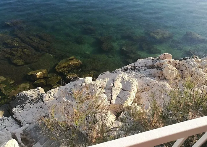 House Novi ノヴィ・ヴィノドロスキー