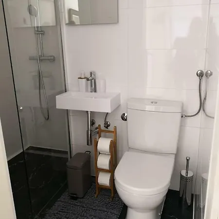 House Novi *